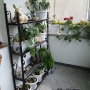 Wrought Iron Stand