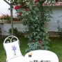 Wrought iron chair